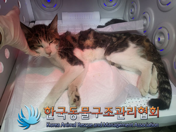 종료(자연사) 한국…