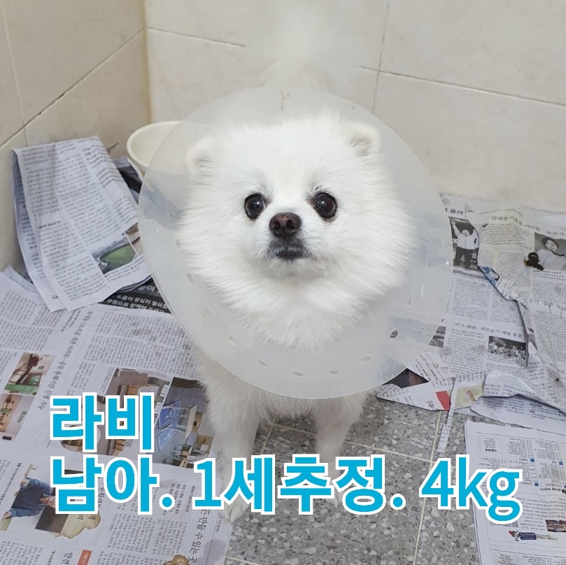 장성군동물보호센터_446498202300402