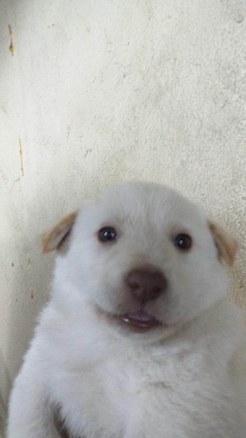이성준동물병원_441408202301468
