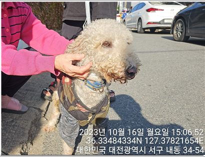 종료(반환) 베들링…