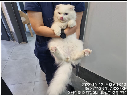 대전동물보호센터_430366202300562
