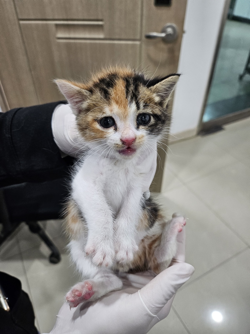 반려동물보호센터_443571202302847