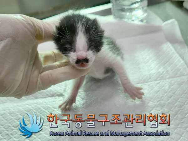 한국동물구조관리협회_441409202301693