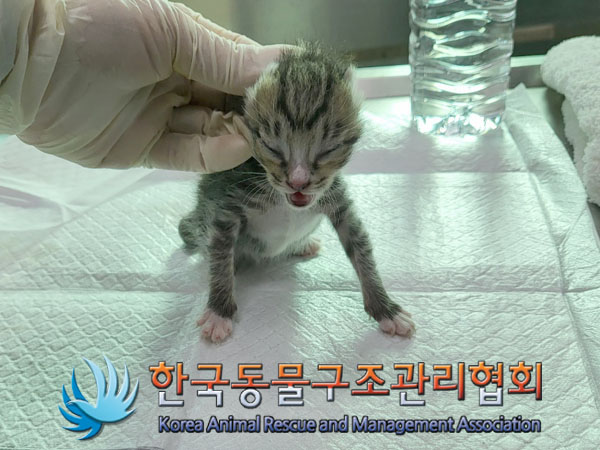 한국동물구조관리협회_441409202301691