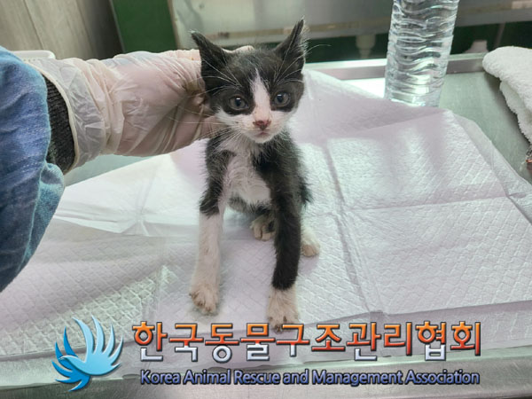 종료(자연사) 한국…