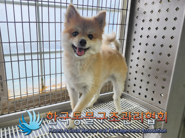 한국동물구조관리협회_441392202300226