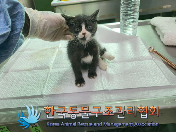 종료(자연사) 한국…