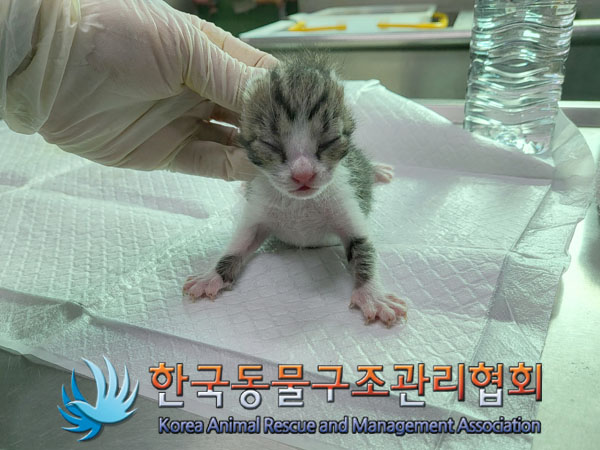 종료(자연사) 한국…