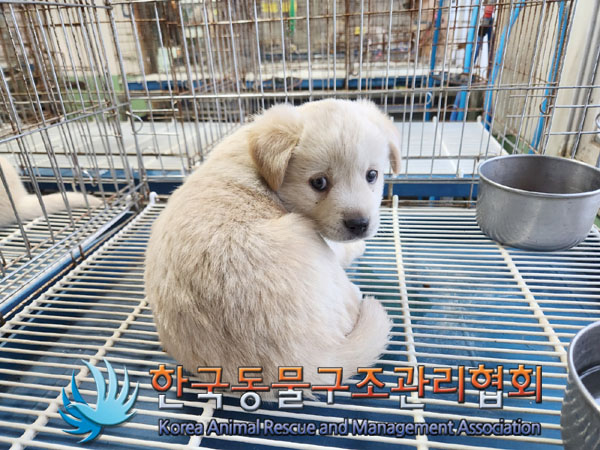 종료(자연사) 믹스…