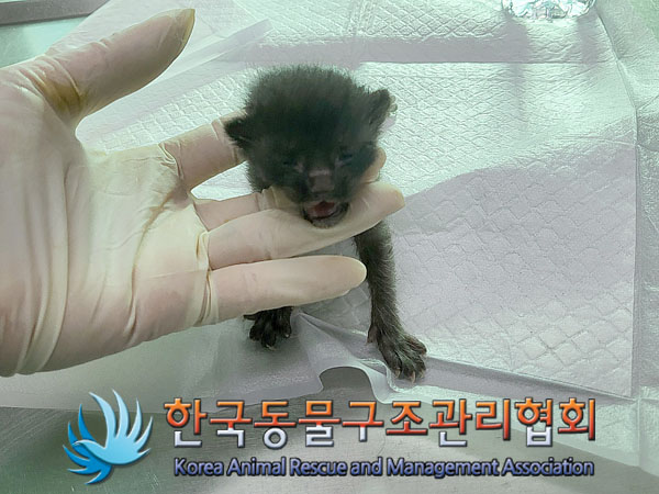 한국동물구조관리협회_441409202301692