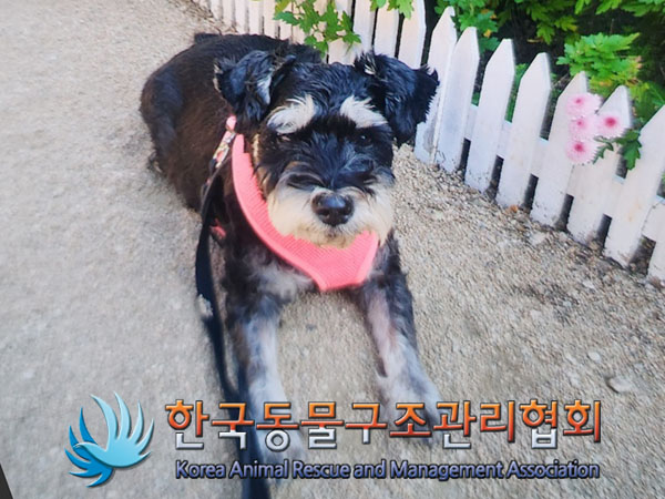 한국동물구조관리협회_411300202300418