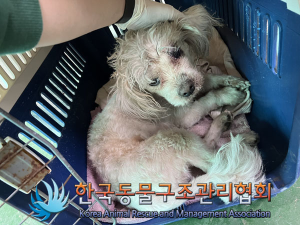 한국동물구조관리협회_441414202300817