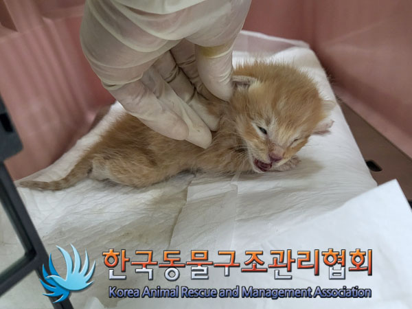 종료(자연사) 한국…