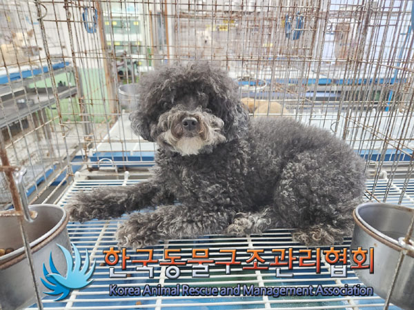 한국동물구조관리협회_441406202301574