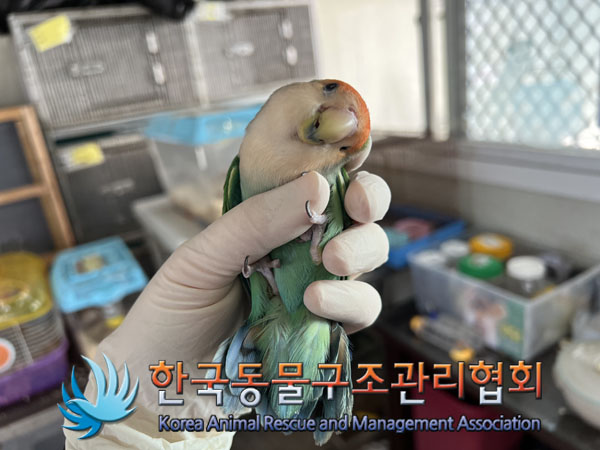 한국동물구조관리협회_441398202300404
