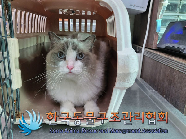 한국동물구조관리협회_411307202300426