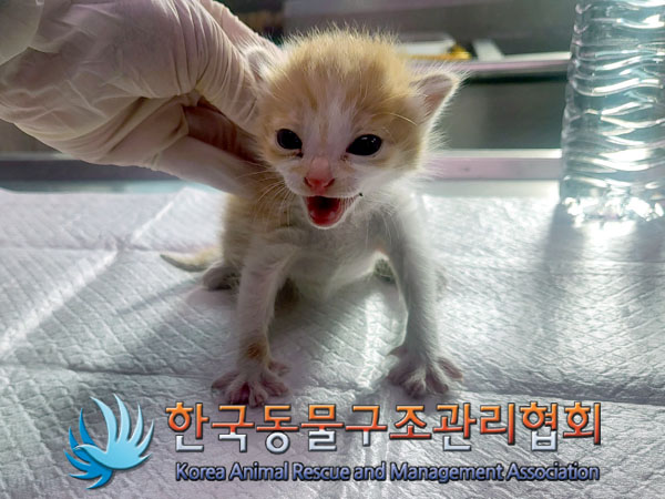종료(자연사) 한국…