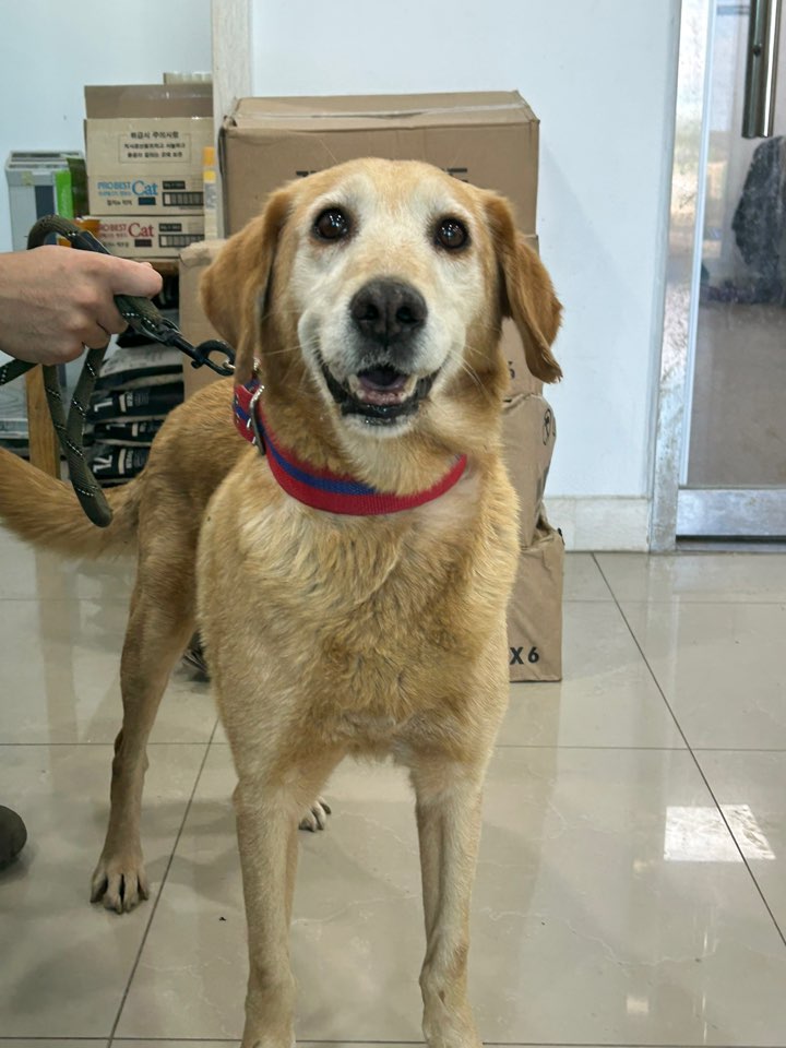 반려동물보호센터_443571202302850