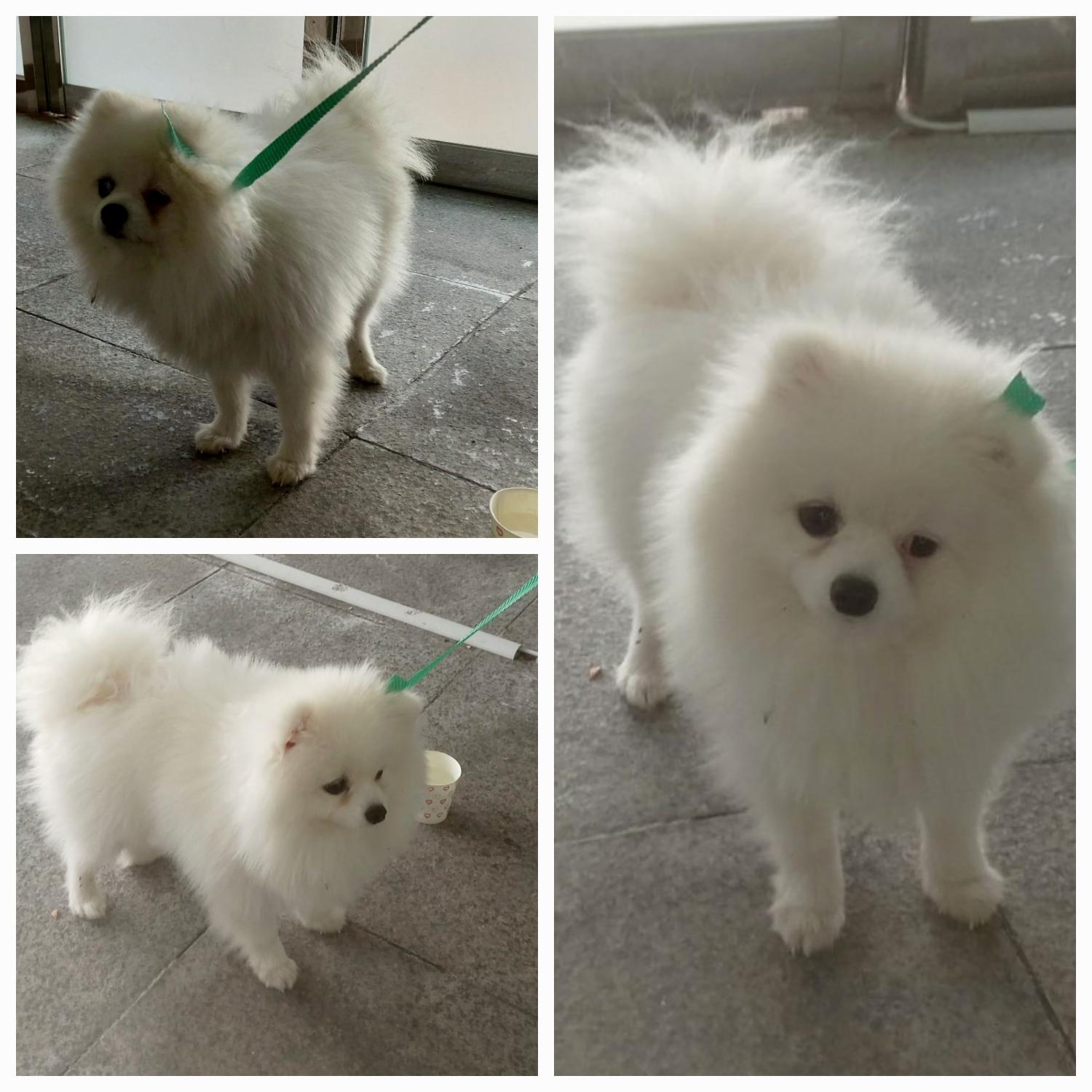 유기동물보호소_446481202300891
