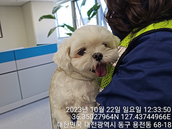 대전동물보호센터_430364202300329