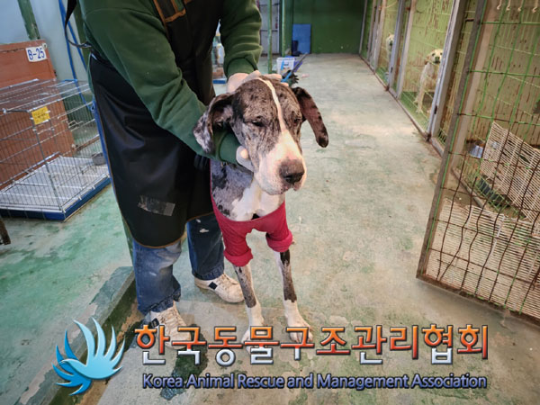 한국동물구조관리협회_441392202300231