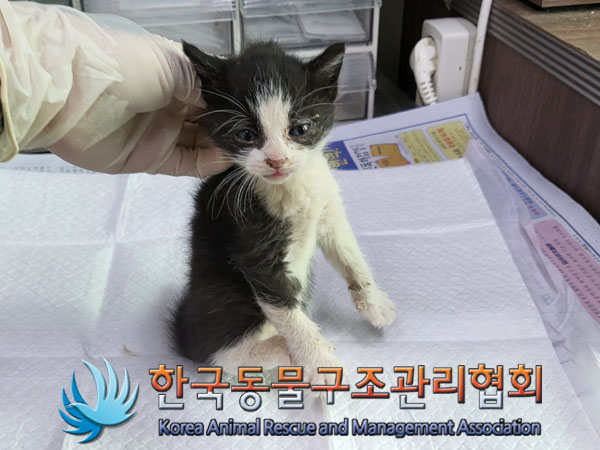 종료(자연사) 한국…