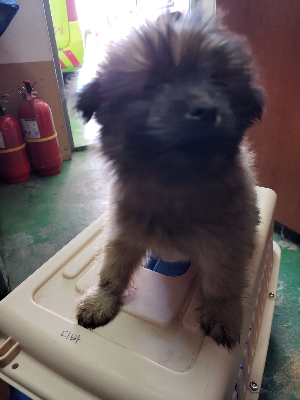 금일동물보호센터_444460202300759