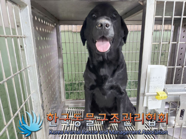 종료(반환) 라브라…