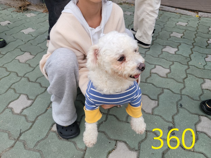 신영재동물병원_428355202300575