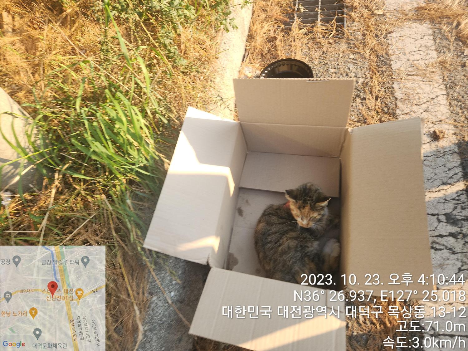 종료(자연사) 한국…