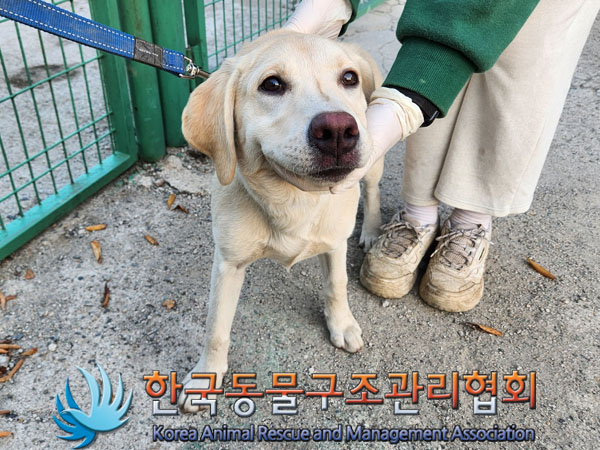 한국동물구조관리협회_441559202301004