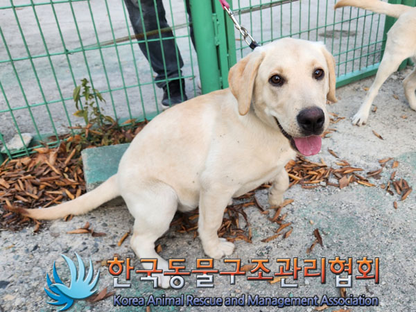 종료(반환) 라브라…