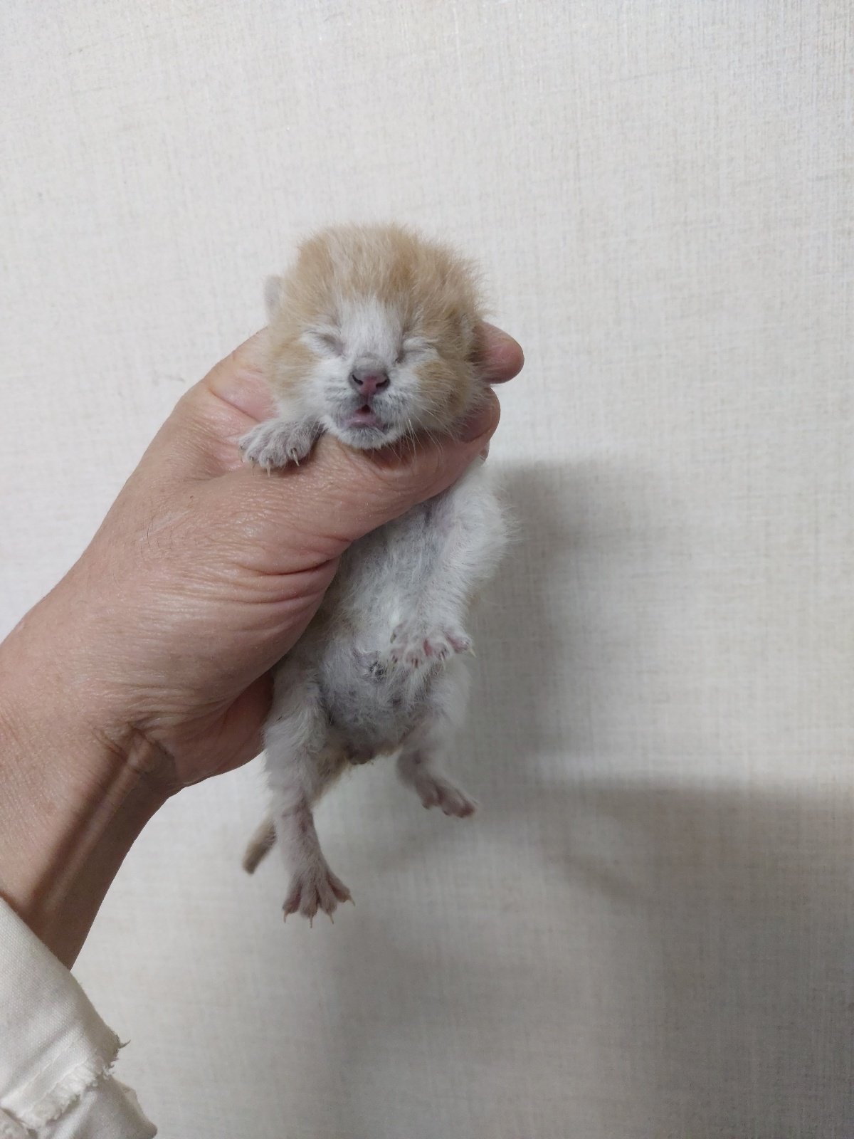 우리동물병원_428356202301860
