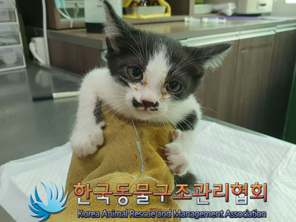 종료(자연사) 한국…
