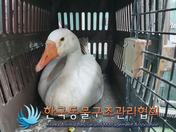 한국동물구조관리협회_441560202301425