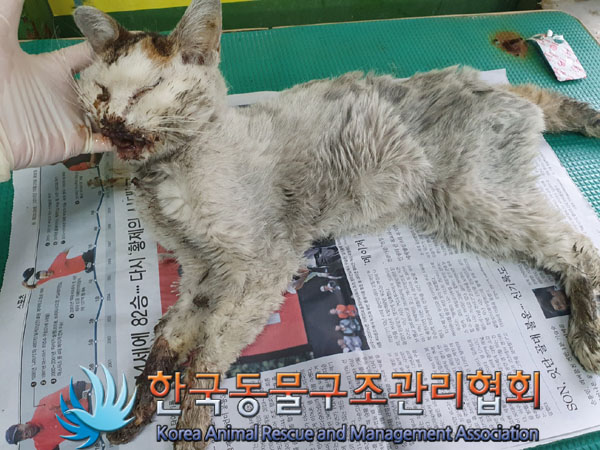 종료(자연사) 한국…