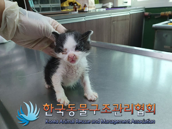 한국동물구조관리협회_411315202300674