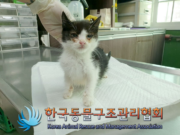 한국동물구조관리협회_411316202300789