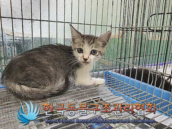 종료(자연사) 한국…