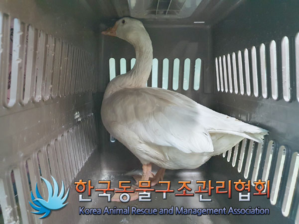 한국동물구조관리협회_441560202301424