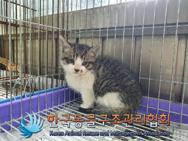 종료(기증) 한국 …