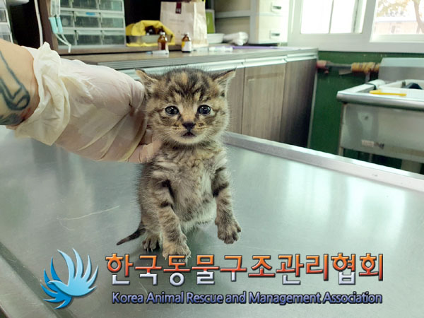 종료(자연사) 한국…