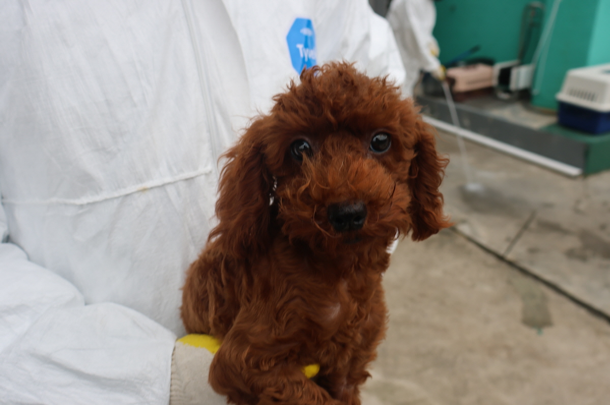 제주 동물보호센터_450650202303679