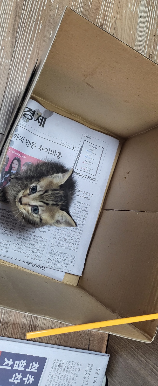 둔촌동물병원_411324202300592