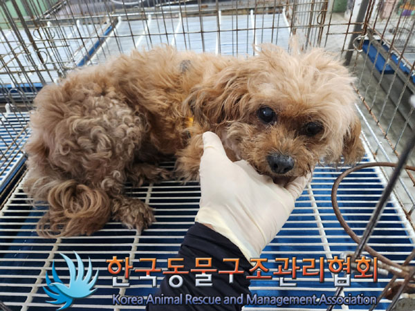 한국동물구조관리협회_411322202300737