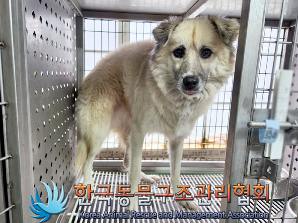 한국동물구조관리협회_441406202301609