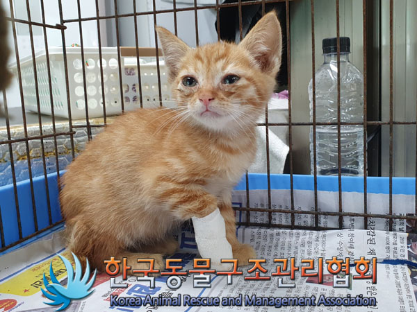 종료(자연사) 한국…