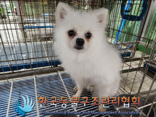 한국동물구조관리협회_441398202300413