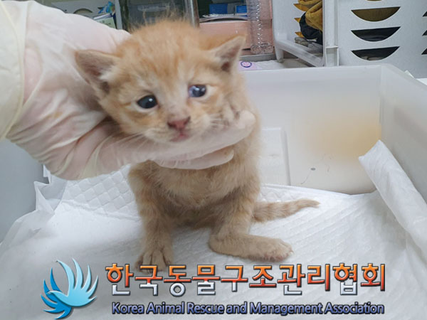 종료(자연사) 한국…