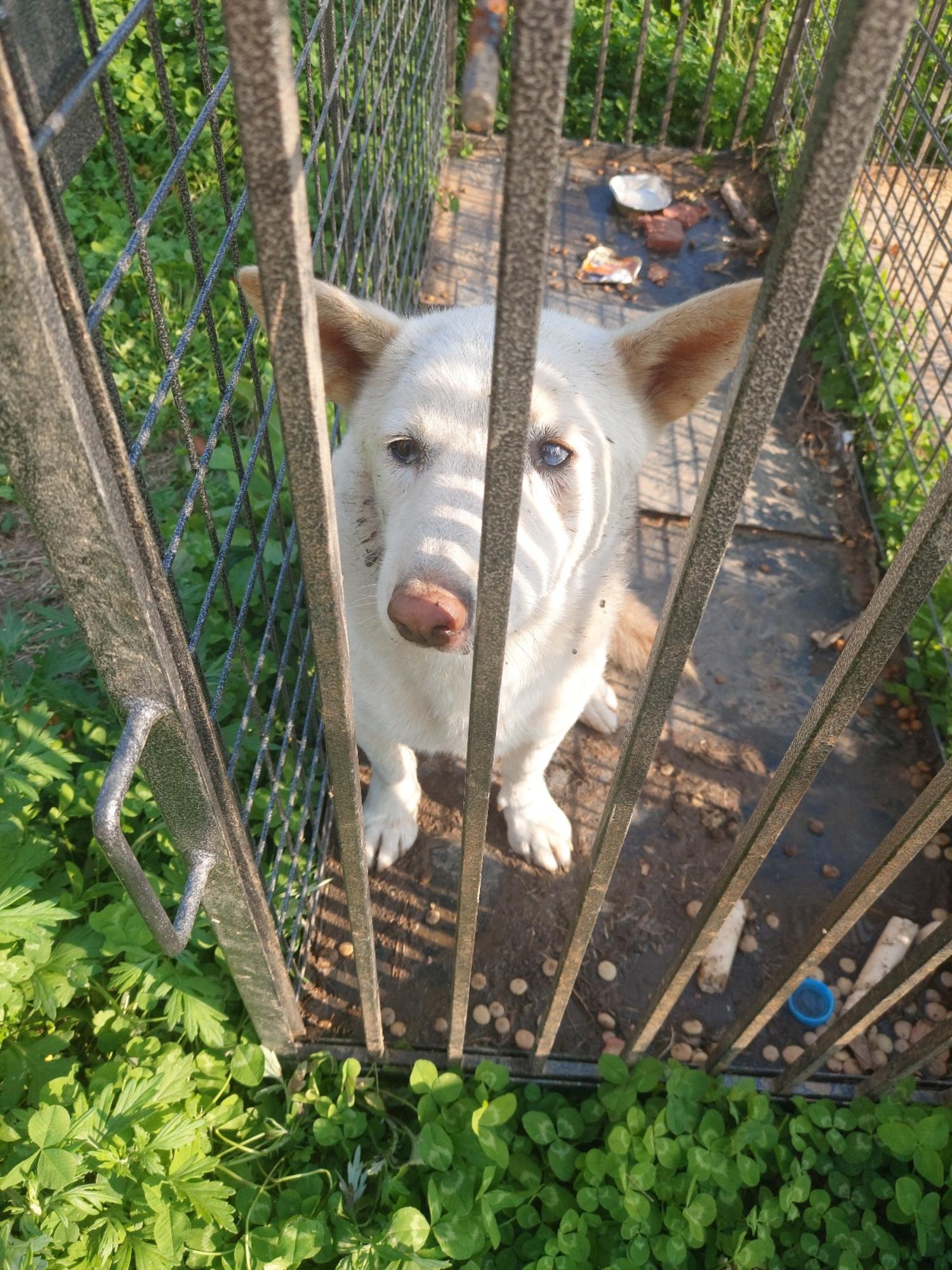 우리동물병원_428356202301872